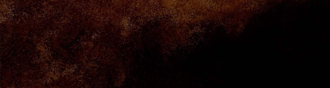 KAFFEE LUNGO KAPSELN banner
