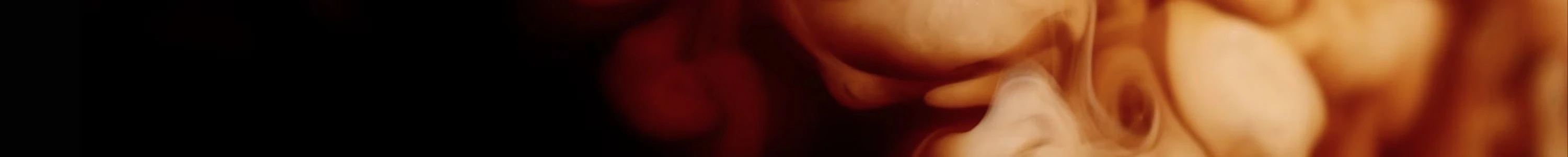 KAPSEL GROßPACKUNGEN banner