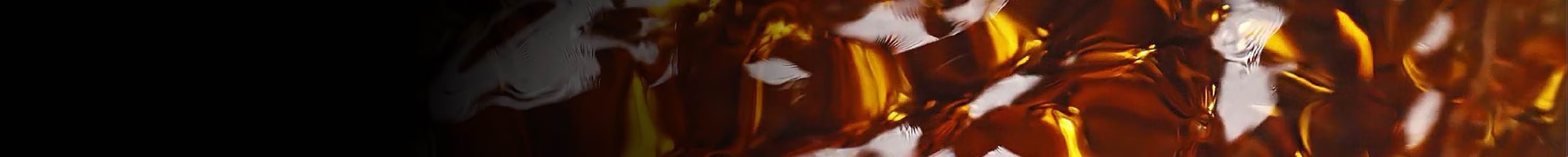 CAPSULES DE THÉS banner