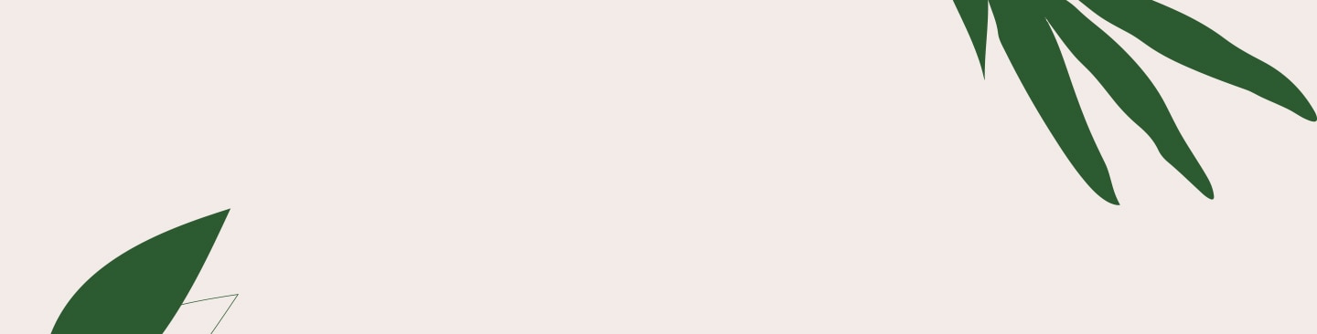 NEO Latte Maschinen I NESCAFÉ® Dolce Gusto® banner