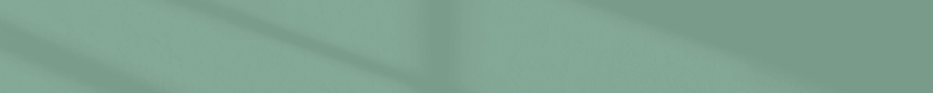 SPECIAL.T® KAPSELN banner