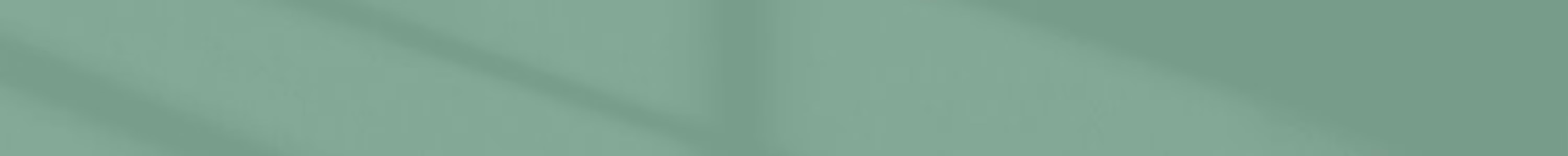 CAPSULES DE THÉS SPECIAL.T® banner