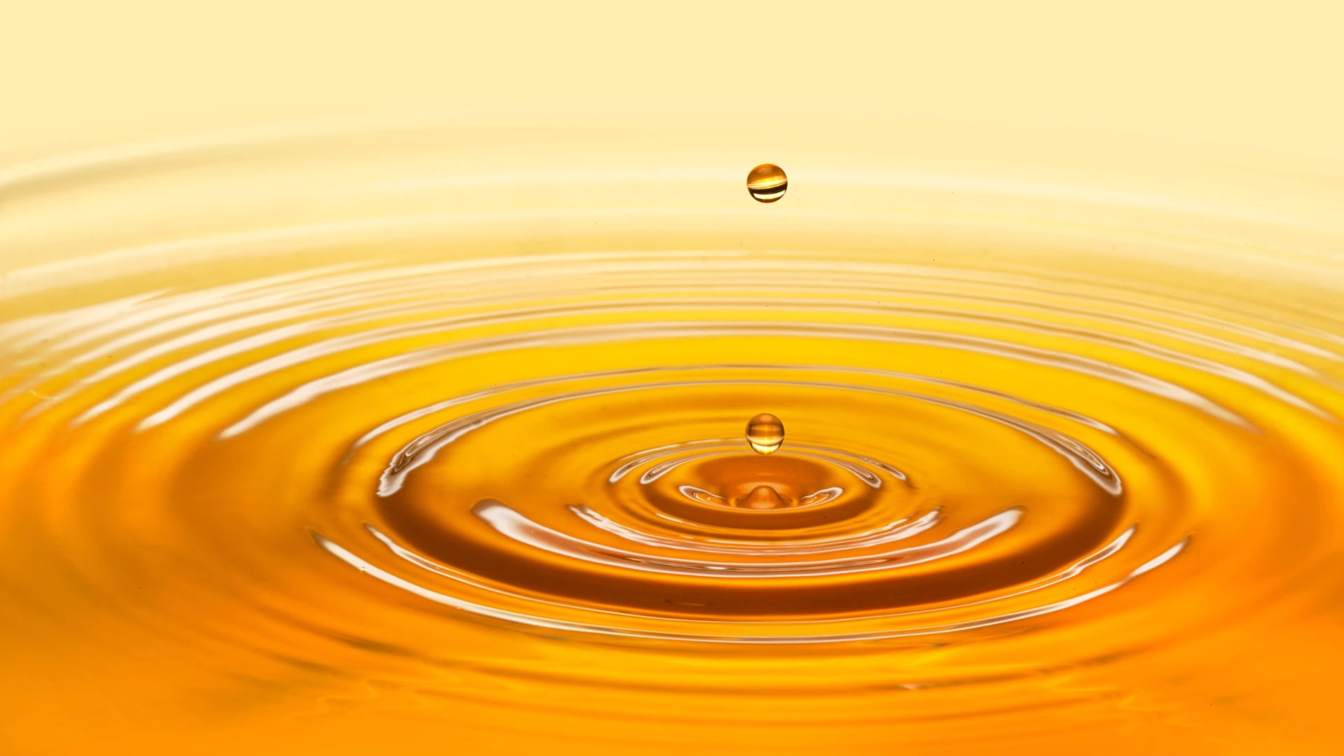 CAPSULES DE THÉS banner