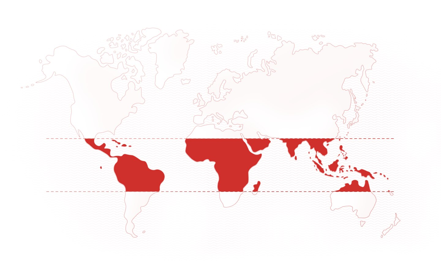 World map