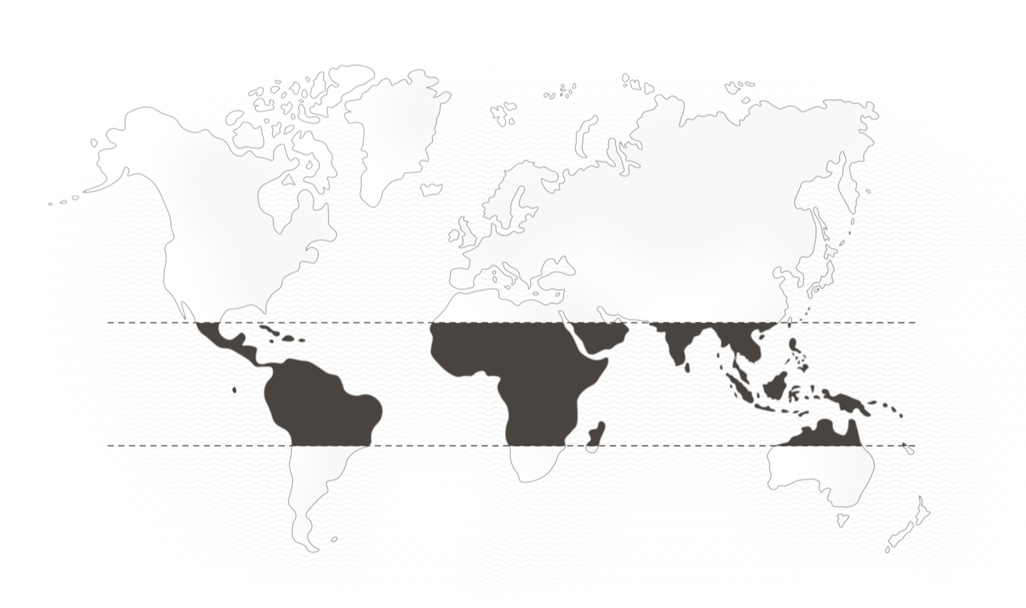 World map