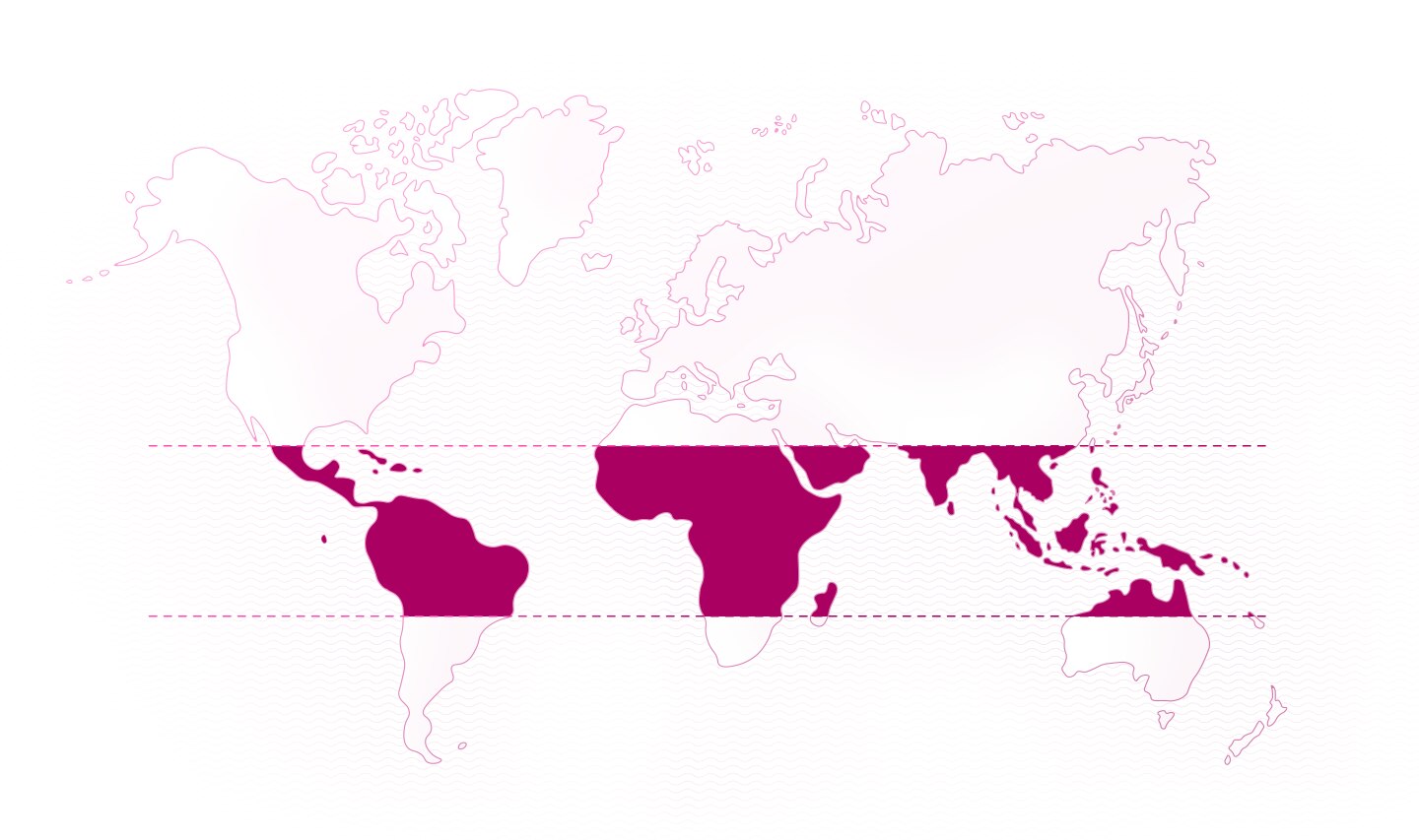 World map