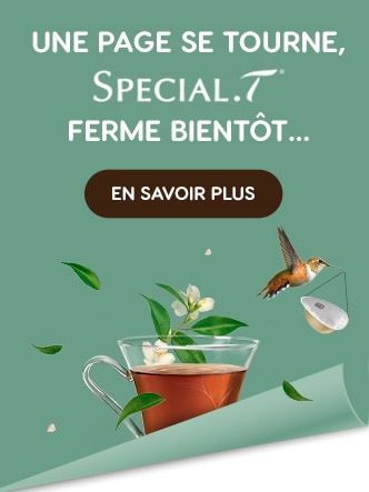 Special T
