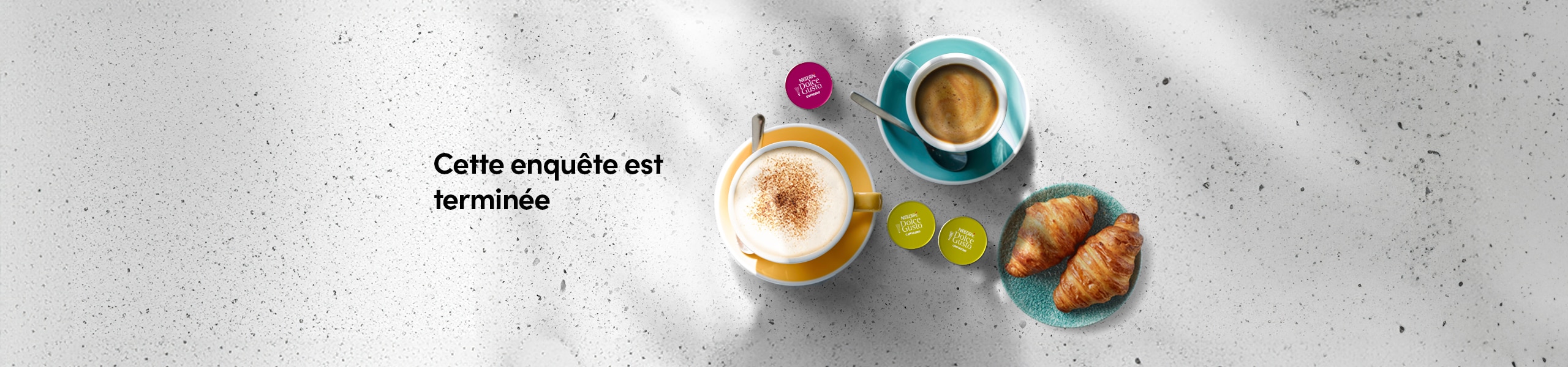 CH fr de NDG LIFESTYLE CONTENT ICD IMG WEBSITE LP DESKTOP 2560X600PX 1