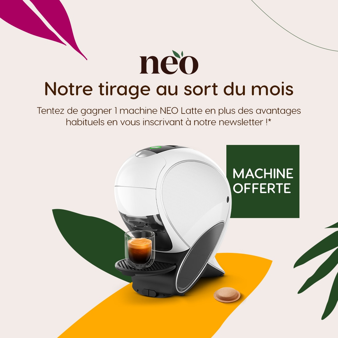 CH fr NDG NEO LATTE IMG NEWSLETTER HEADER 640X150PX (1)