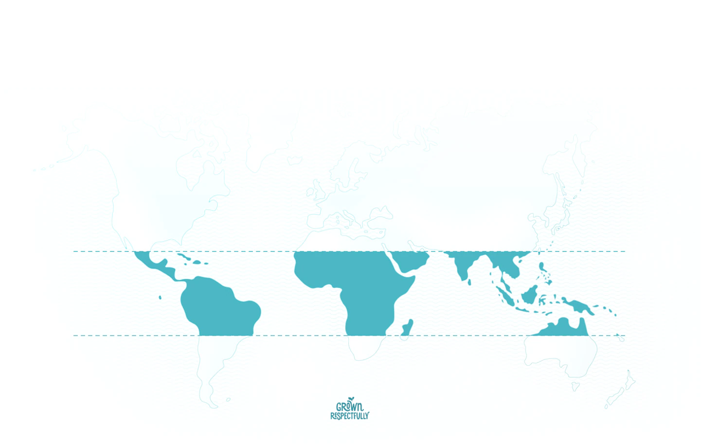 World map