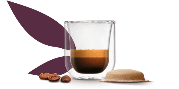 Espresso Barista DK cup