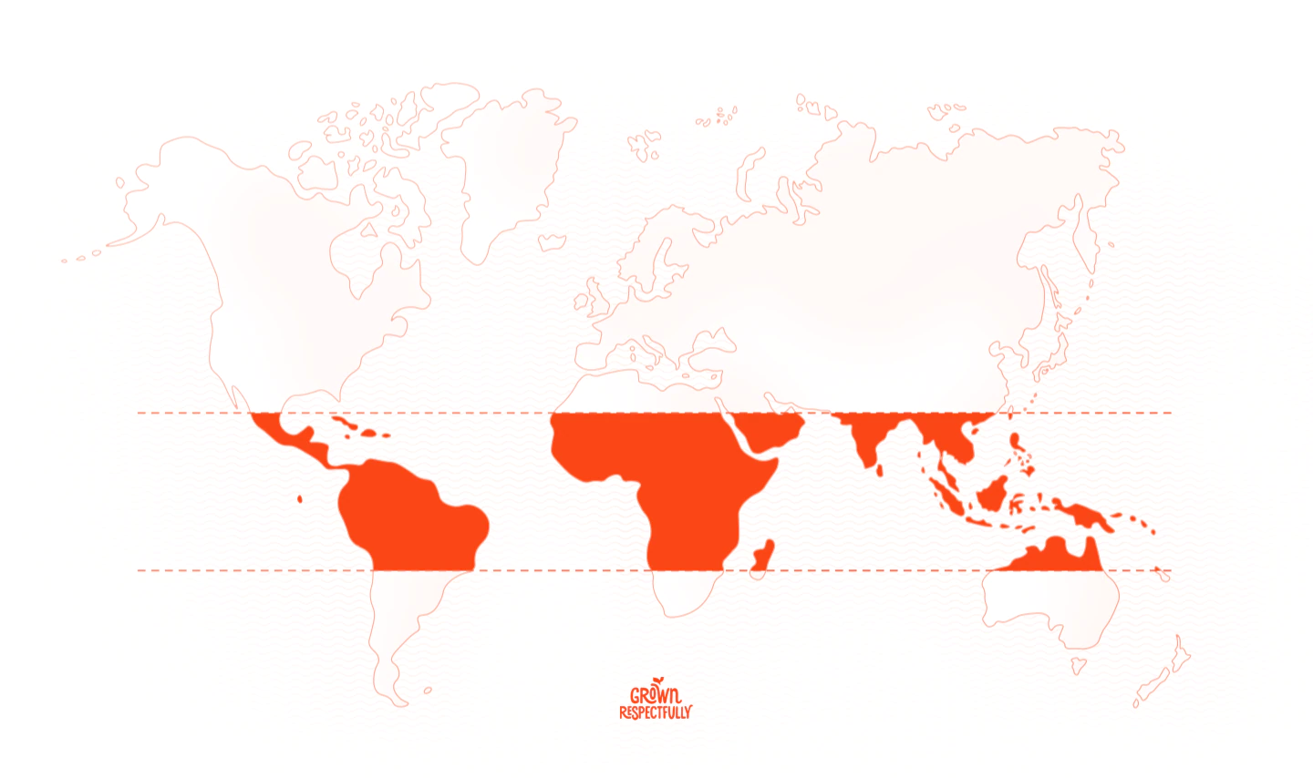 World map