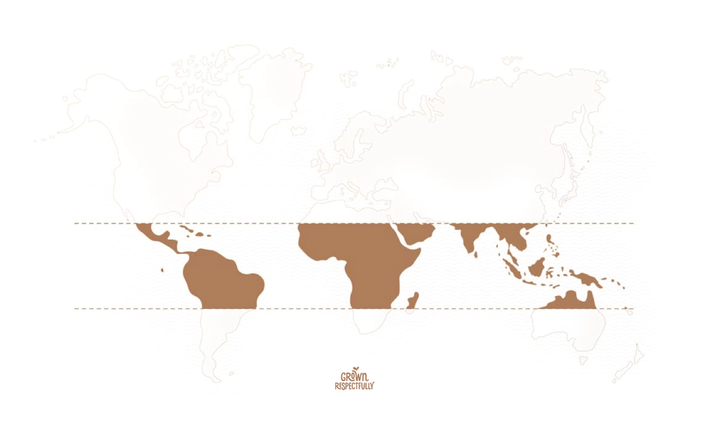 World map