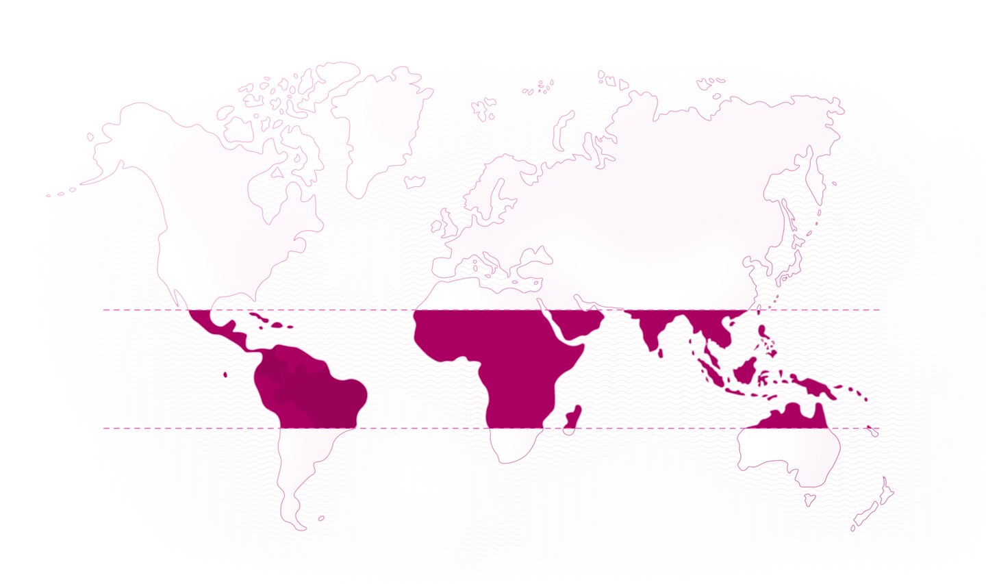 World map