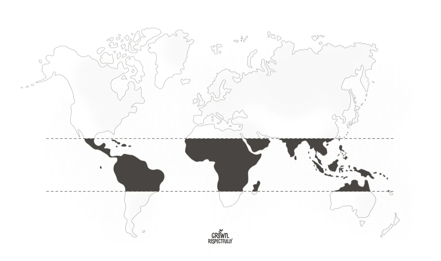 World map